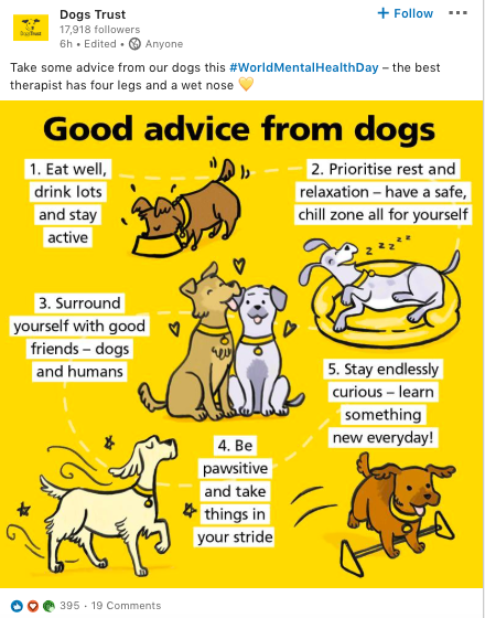 DogsTrust advice - World Mental Health Day