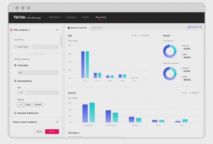 TikTok Audience Insights