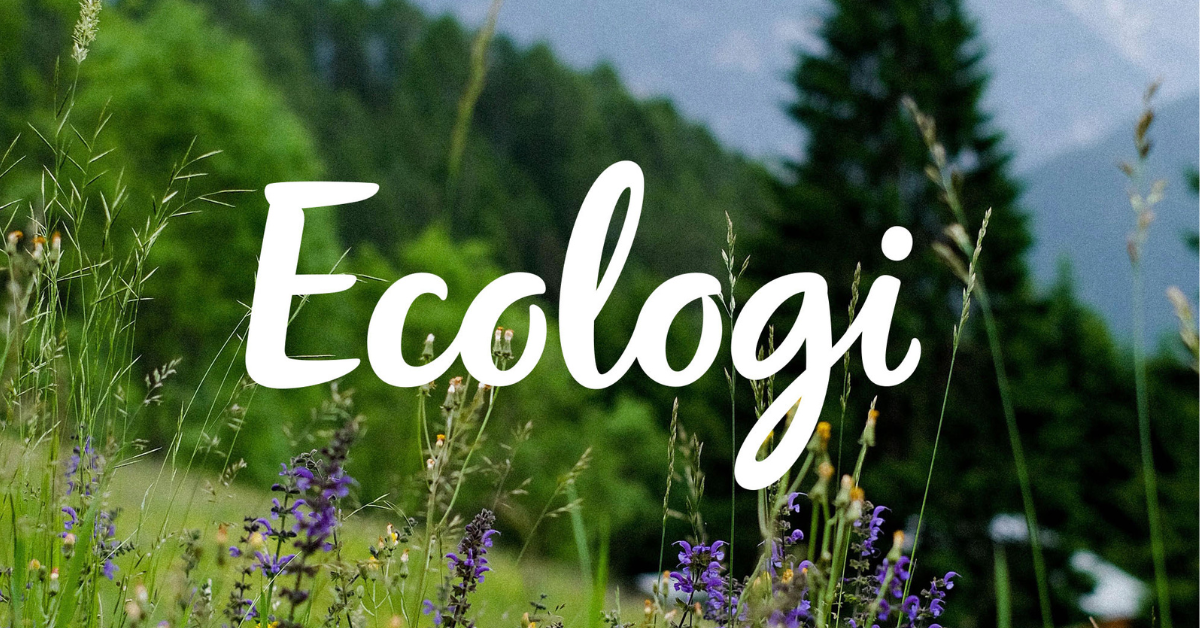 Graphic explaining how SCS Agency is reducing its environmental impact through sustainability initiatives and Ecologi partnership