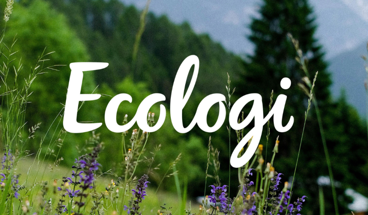 Graphic explaining how SCS Agency is reducing its environmental impact through sustainability initiatives and Ecologi partnership